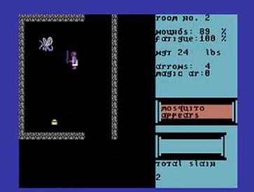 Temple of Apshai gameplay screenshot (colour C64/Atari version)