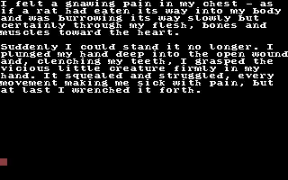 Jack the Ripper C64: gameplay screen 6