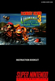 DKC3 - the concluding chapter